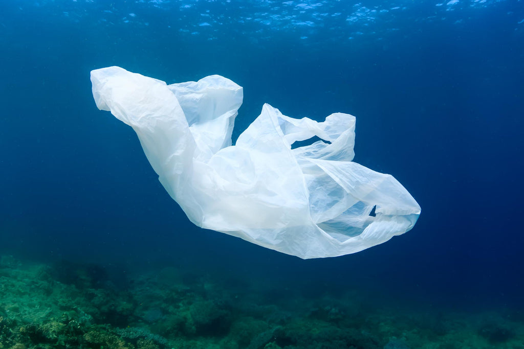 Plastic bags: From Hero to Zero!
