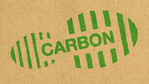 3 Ways to Reduce Your Carbon Footprint